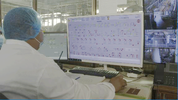 共筑金色梦想丨中国技术为刚果(布)开“粮”方:“这是最优质的木薯粉”