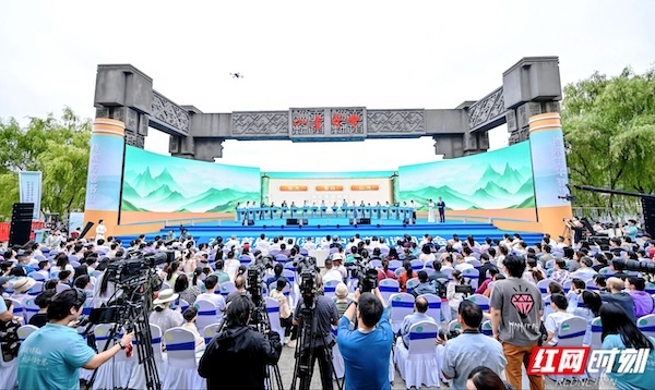 c8.jpg