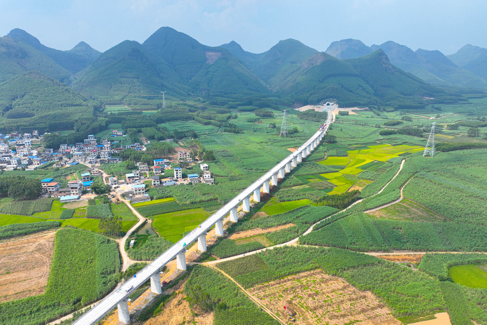 廣東建筑行業(yè)“高質(zhì)量發(fā)展”系列|鍛造新質(zhì)生產(chǎn)力 實(shí)現(xiàn)建筑業(yè)跨越式升級(jí) ——探析中鐵二十五局總經(jīng)理程志強(qiáng)的破局實(shí)踐_fororder_柳梧鐵路龍鳳特大橋