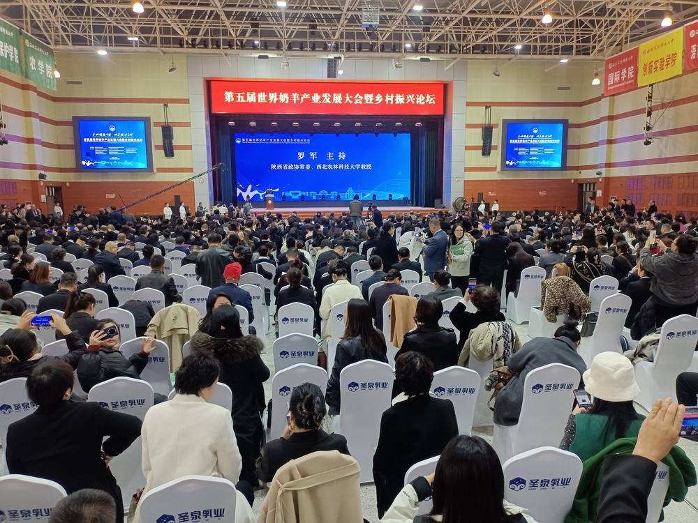 dab564054271e41b4ece33c96ff03656