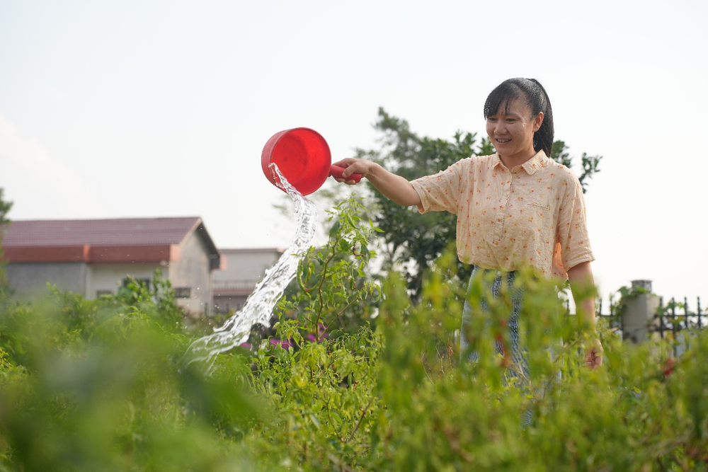土貨線上售 豐收又增收——湖南洞口縣農(nóng)村網(wǎng)紅徐艷紅的助農(nóng)路_fororder_2