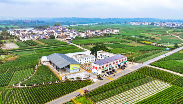 ꖅ^(q)ǝM(zhn)干l(xing)һr(nng)á(xing)ĿDԴꖅ^(q)