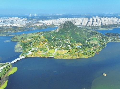 一年四季 泉在濟(jì)南丨濟(jì)南華山湖畔秋韻濃 再現(xiàn)《鵲華秋色圖》絕美畫卷