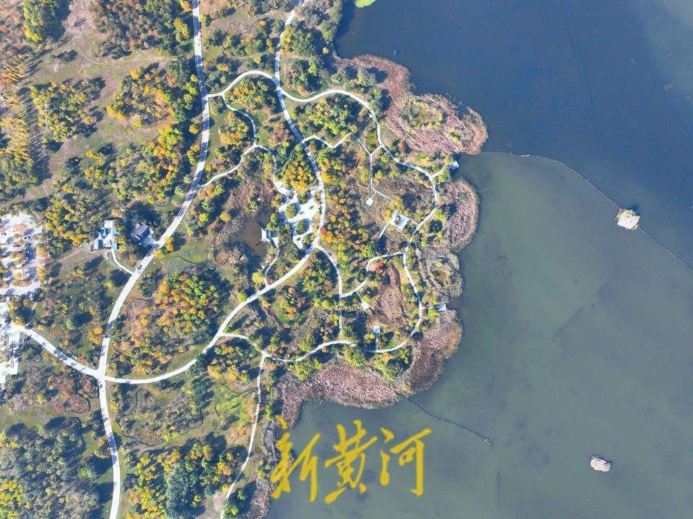 一年四季 泉在濟(jì)南丨濟(jì)南華山湖畔秋韻濃 再現(xiàn)《鵲華秋色圖》絕美畫卷