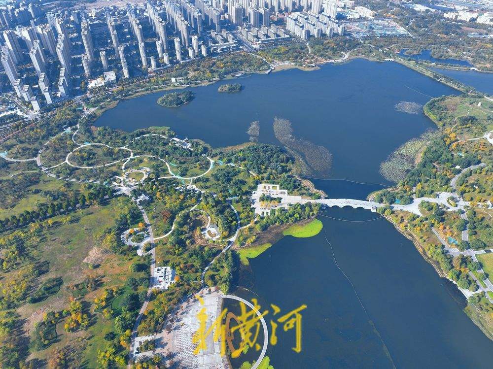 一年四季 泉在濟(jì)南丨濟(jì)南華山湖畔秋韻濃 再現(xiàn)《鵲華秋色圖》絕美畫卷