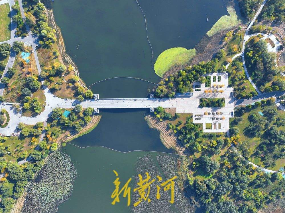 一年四季 泉在濟(jì)南丨濟(jì)南華山湖畔秋韻濃 再現(xiàn)《鵲華秋色圖》絕美畫卷