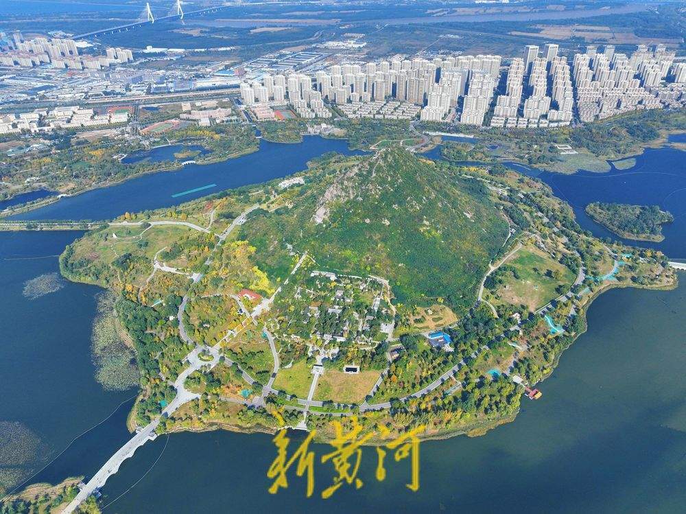 一年四季 泉在濟(jì)南丨濟(jì)南華山湖畔秋韻濃 再現(xiàn)《鵲華秋色圖》絕美畫卷