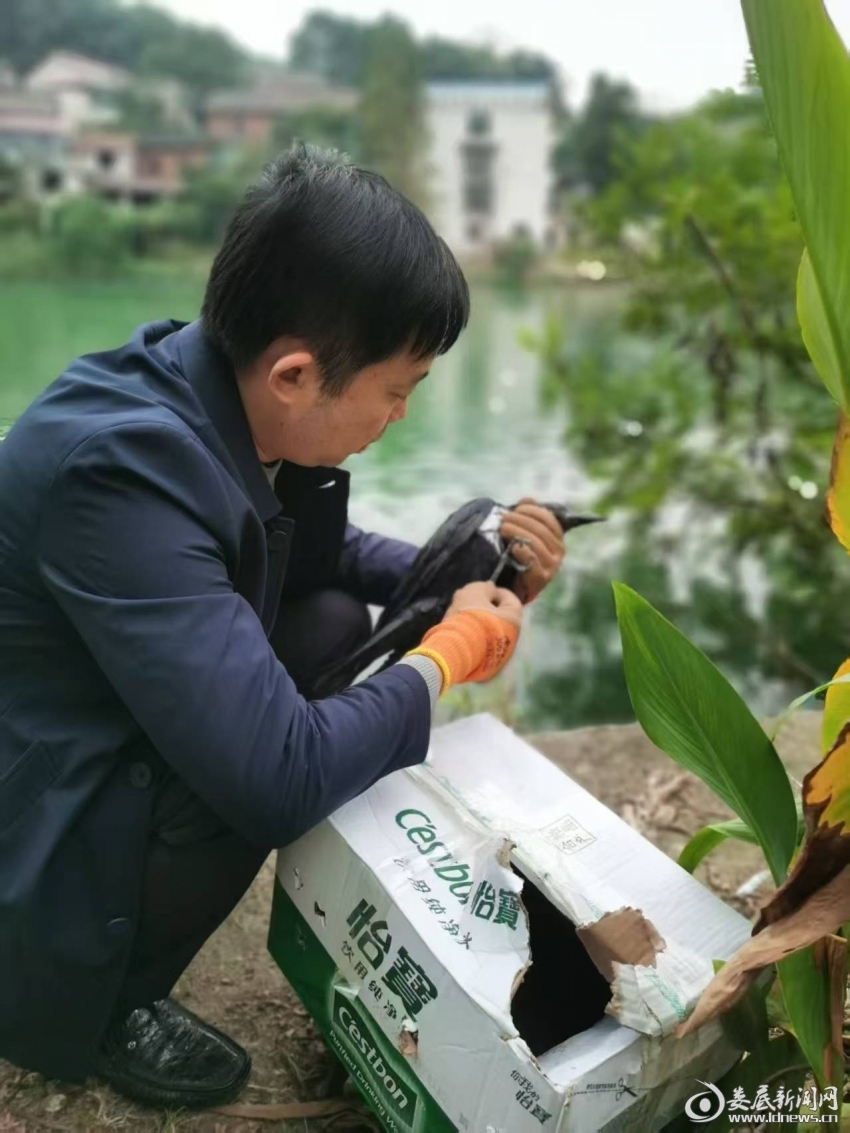 微信圖片_20251030111034_117_68