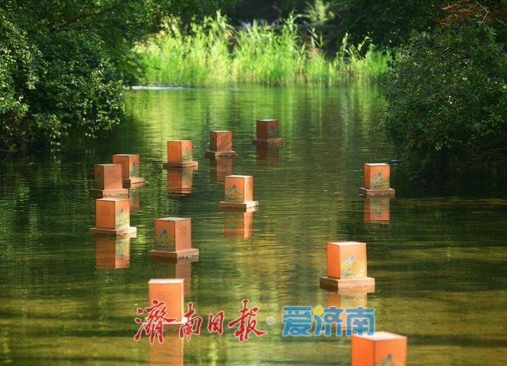 花海模式已開啟,趵突泉菊展最佳觀賞期來了!