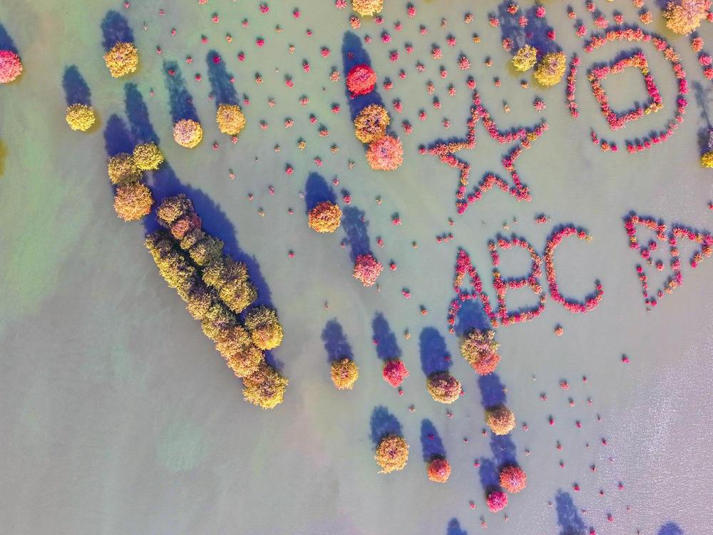 DJI_20251102110900_0082_D - 副本