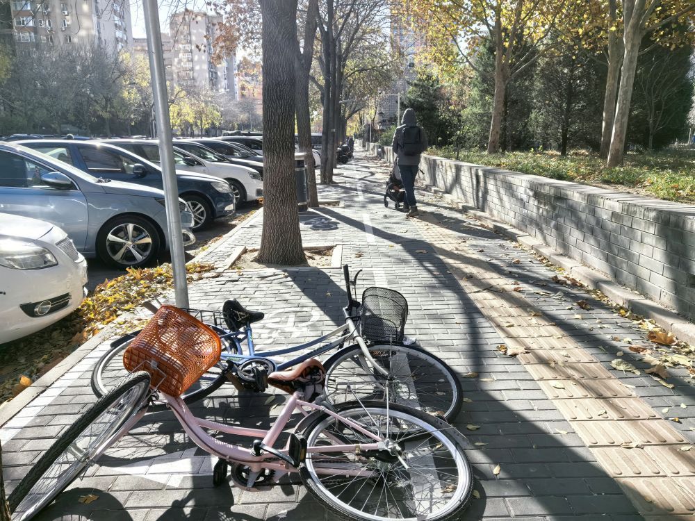 星空体育网站：寒潮来袭、大风呼啸如何应对