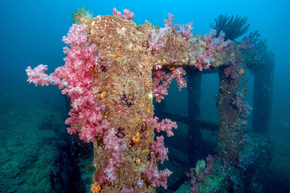 【】2-5 蜈支洲岛区域,有效地将太阳能转换为生物能源,</p><p><img dropzone=