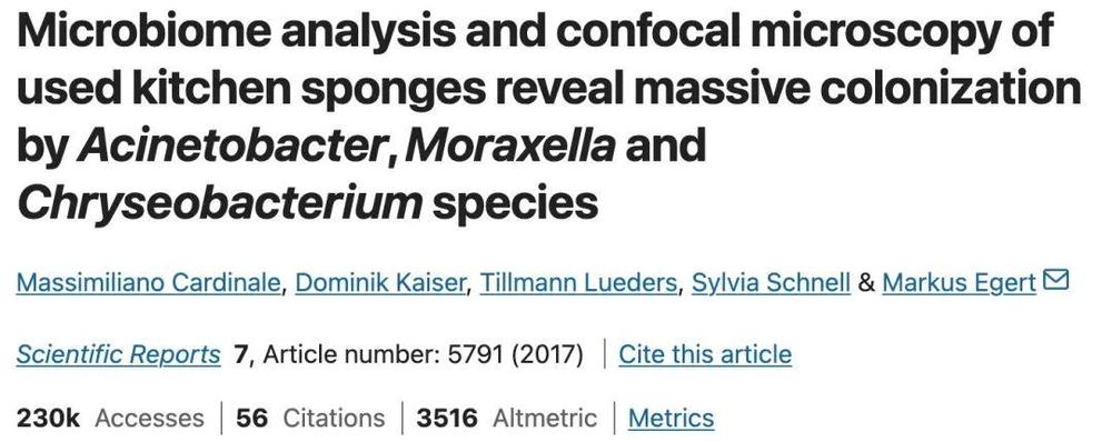 别让细菌在碗里繁殖!这3大洗碗误区需知