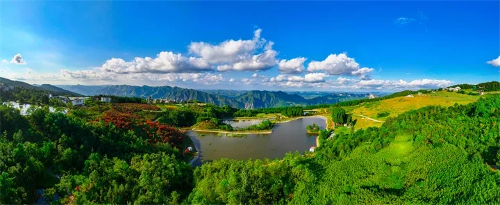 �������ɭ�ֹ�԰������� ��.jpg