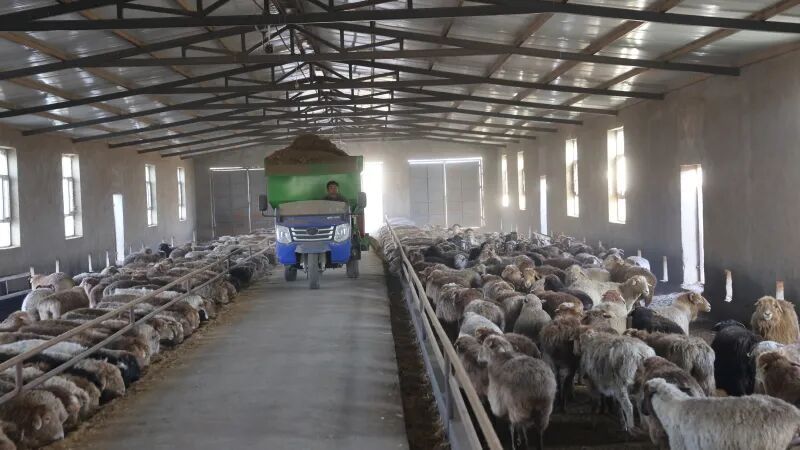 开元棋牌- 开元棋牌官方网站- 开元棋牌APP下载江西：智能新设备高效服务粮果畜