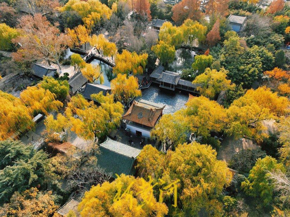 泉城氣溫跌破0℃ “趵突騰空”勝景依舊