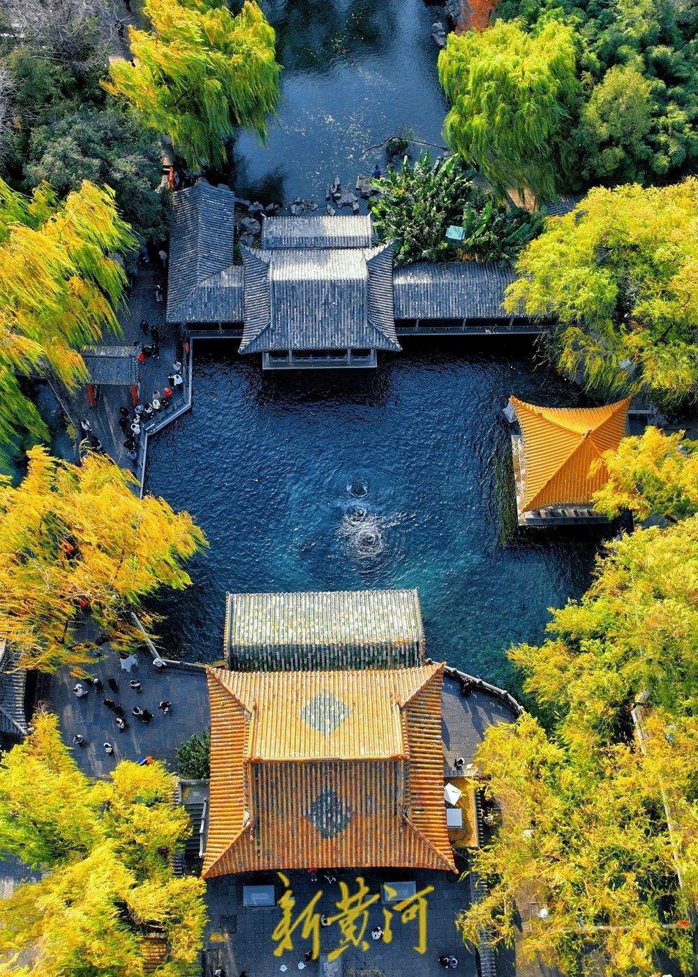 泉城氣溫跌破0℃ “趵突騰空”勝景依舊
