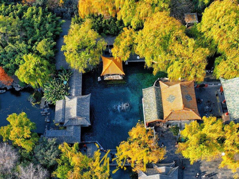 泉城氣溫跌破0℃ “趵突騰空”勝景依舊