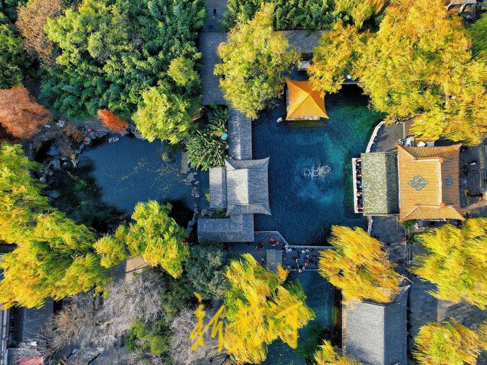 泉城氣溫跌破0℃ “趵突騰空”勝景依舊