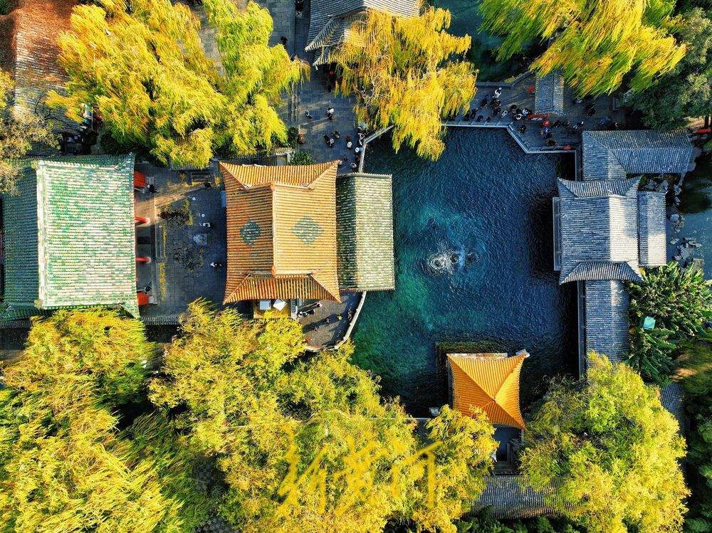 泉城氣溫跌破0℃ “趵突騰空”勝景依舊