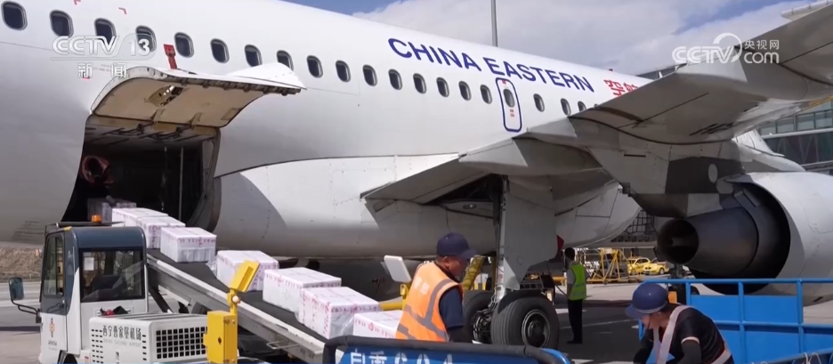 冷凉蔬菜“鲜”声夺人装满冬日“菜篮子”