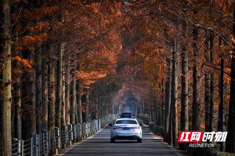 DSC_8891.jpg DSC_8891.jpg