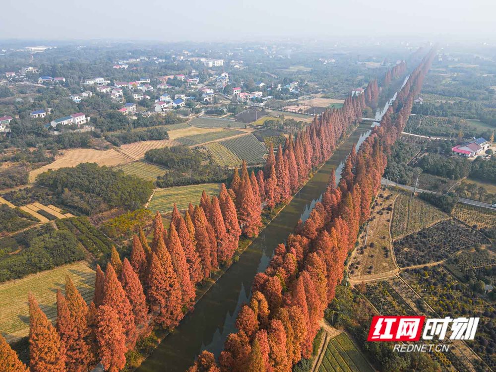 dji_fly_20251210_111940_391_1765341784968_photo.jpg dji_fly_20251210_111940_391_1765341784968_photo.jpg