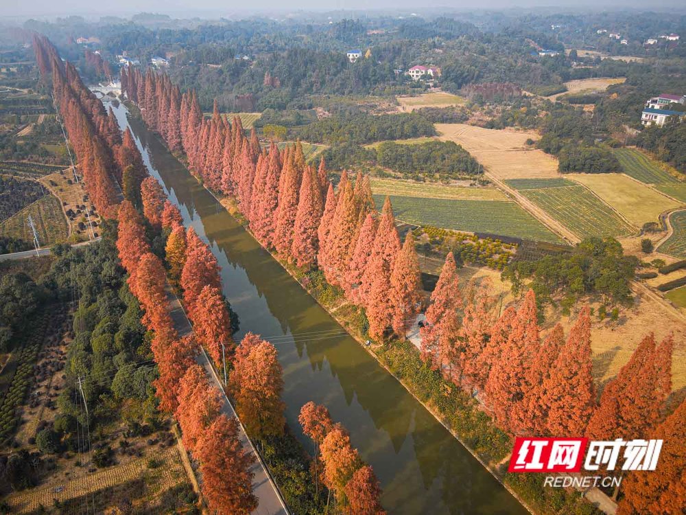 dji_fly_20251210_105614_374_1765336012197_photo.jpg dji_fly_20251210_105614_374_1765336012197_photo.jpg