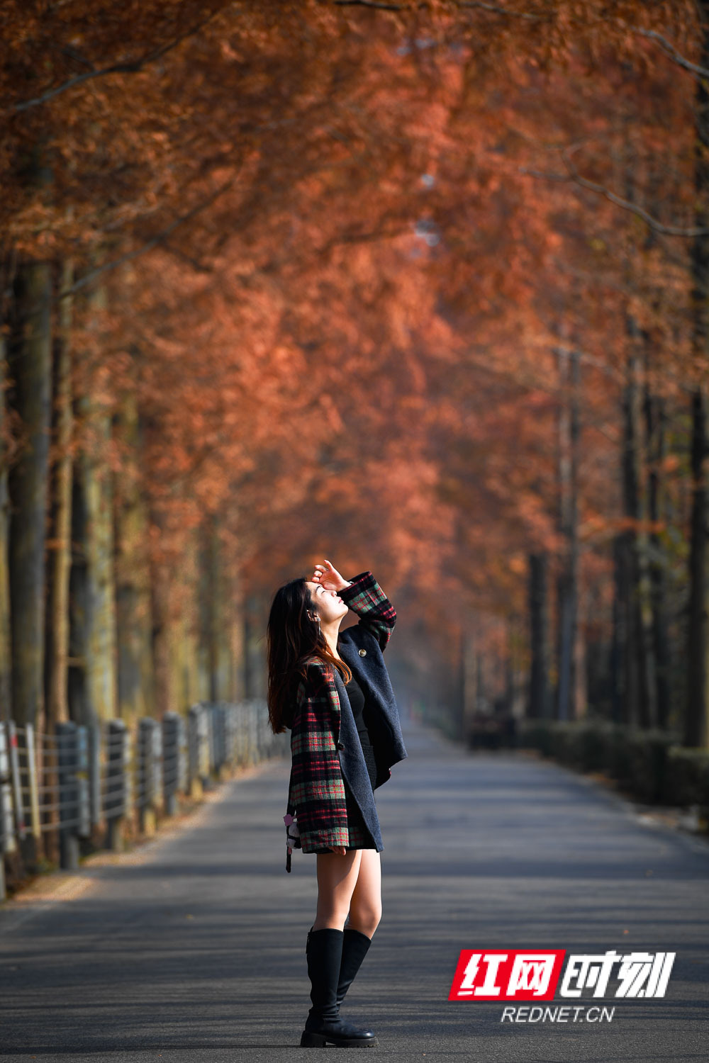 DSC_8922.jpg DSC_8922.jpg