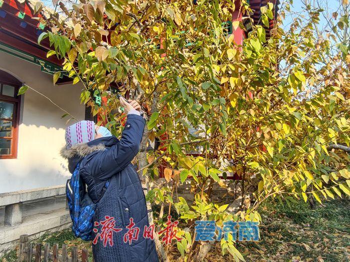 ���ա���ա��ф�͸����ͻȪ��@Ϟ÷��������