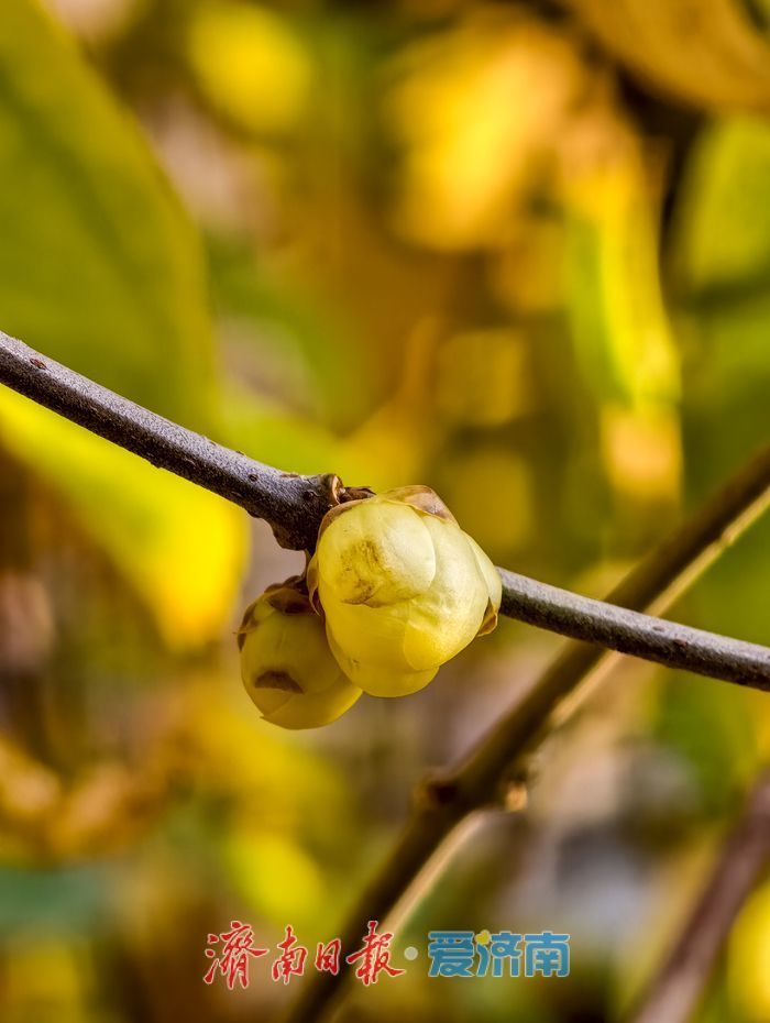 ���ա���ա��ф�͸����ͻȪ��@Ϟ÷��������