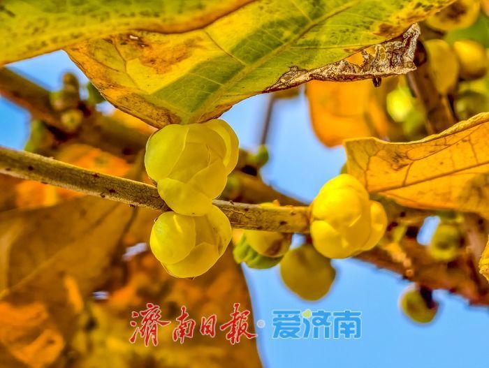 ���ա���ա��ф�͸����ͻȪ��@Ϟ÷��������