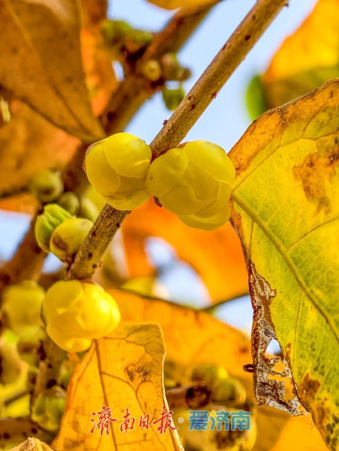 ���ա���ա��ф�͸����ͻȪ��@Ϟ÷��������