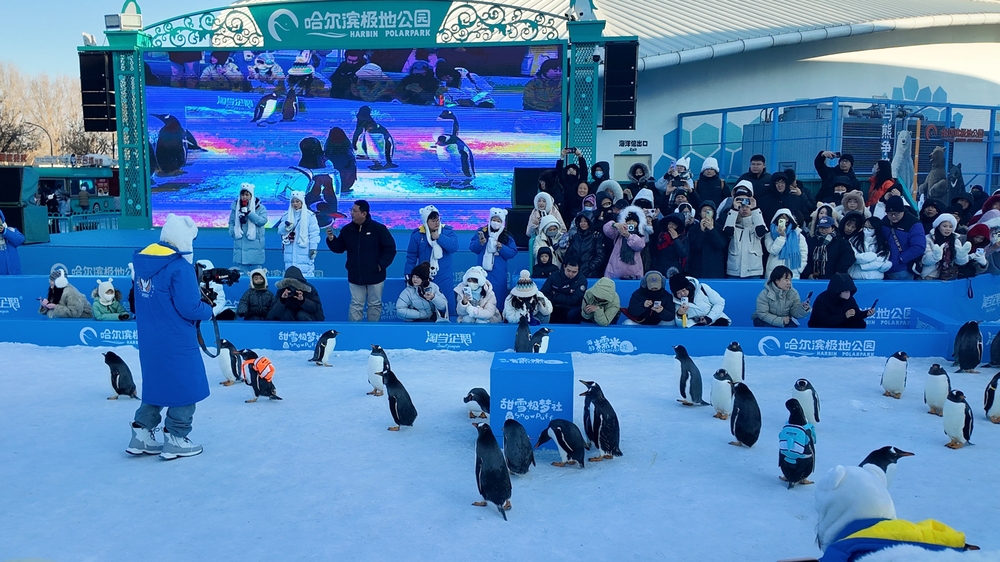 黑龙江:深挖冰雪资源催热冬日经济(图1)