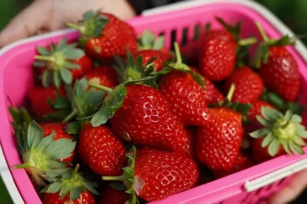 mmexport1766054819049