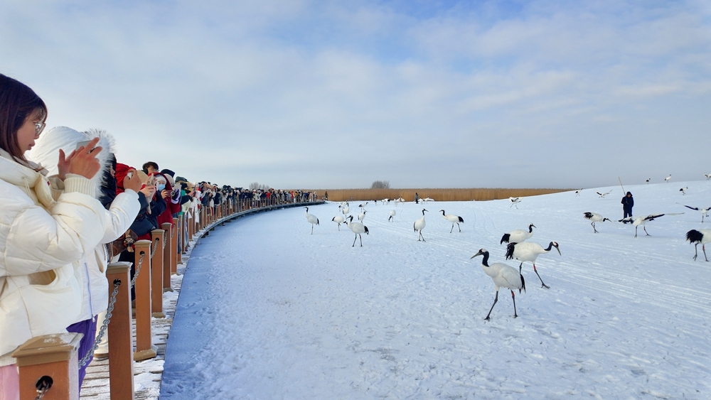 黑龙江:深挖冰雪资源催热冬日经济(图5)