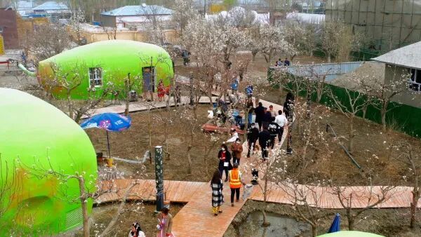 mmexport1766054759010