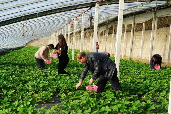 mmexport1766054799949