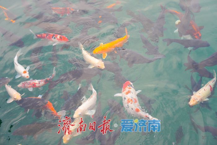 һ���ļ� Ȫ�ڼ���ح��ҶӳȪ ����Ȫ����ʫ��������