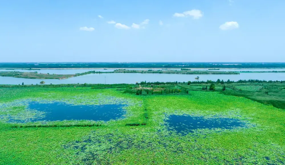 简篇-今天,品读章丘这十年!