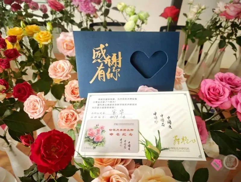 用二舅“宝华”命名的月季初审通过!(图4)