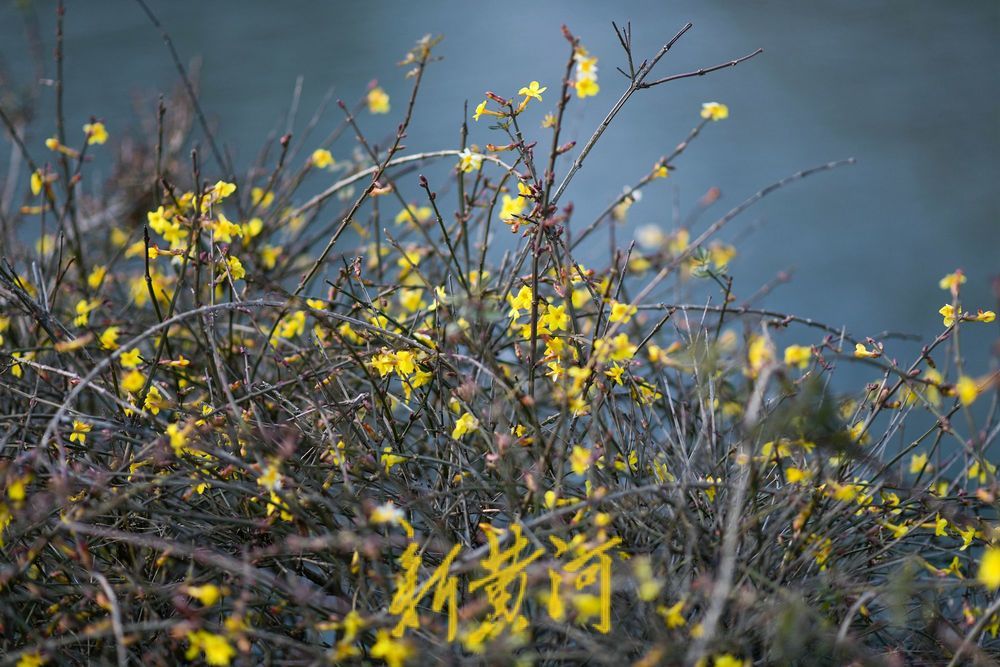 һ���ļ� Ȫ�ڼ���حȪ�Ƕ���ů�紺 ���Ǻ���ӭ����������������