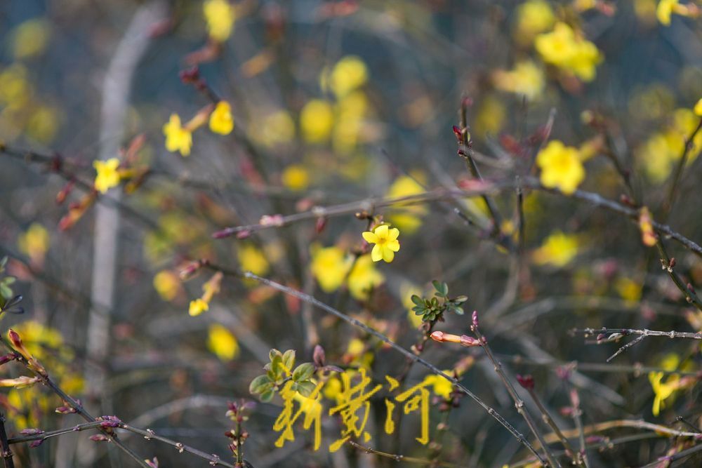 һ���ļ� Ȫ�ڼ���حȪ�Ƕ���ů�紺 ���Ǻ���ӭ����������������