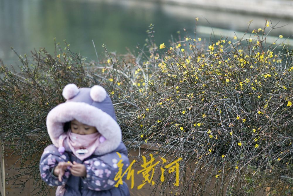 һ���ļ� Ȫ�ڼ���حȪ�Ƕ���ů�紺 ���Ǻ���ӭ����������������