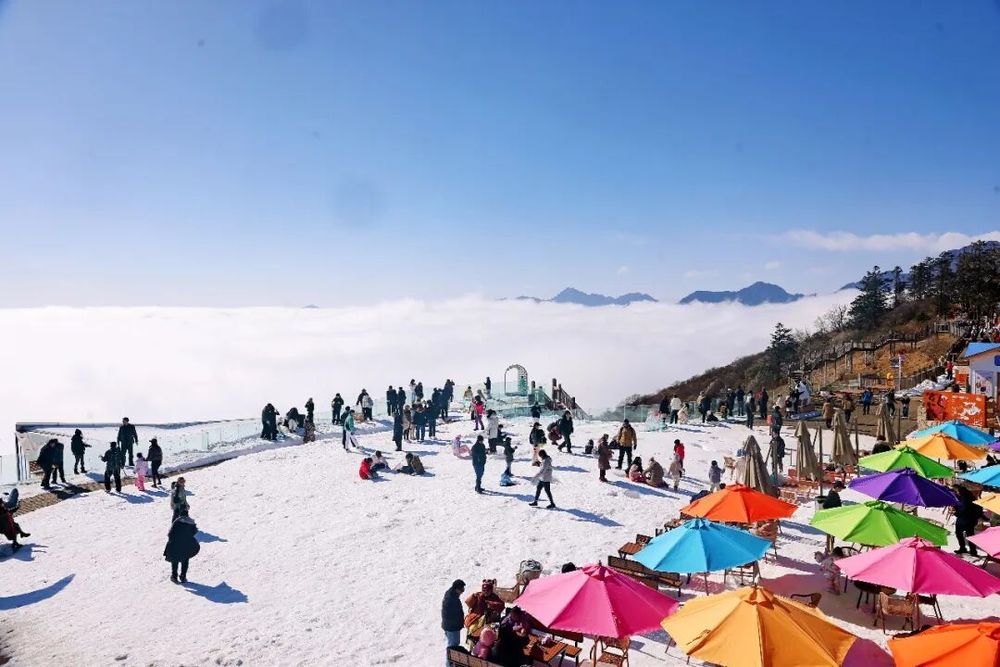 培训5天就考证！滑雪教练速成班乱象调查：零基础也可报名学时还能“注水”(图9)