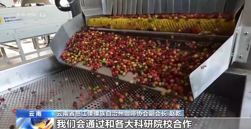 CQ9电子平台一线见闻丨走出大山 云南咖啡何以从“红果”走向“红火”?(图11) CQ9电子平台一线见闻丨走出大山 云南咖啡何以从“红果”走向“红火”?(图11)