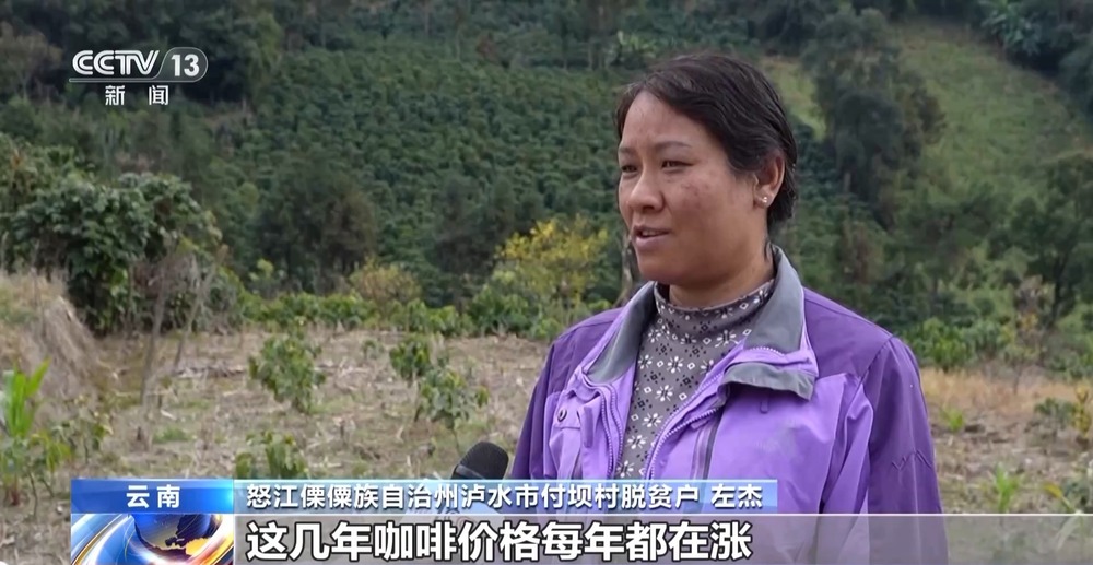 CQ9电子平台一线见闻丨走出大山 云南咖啡何以从“红果”走向“红火”？(图9)