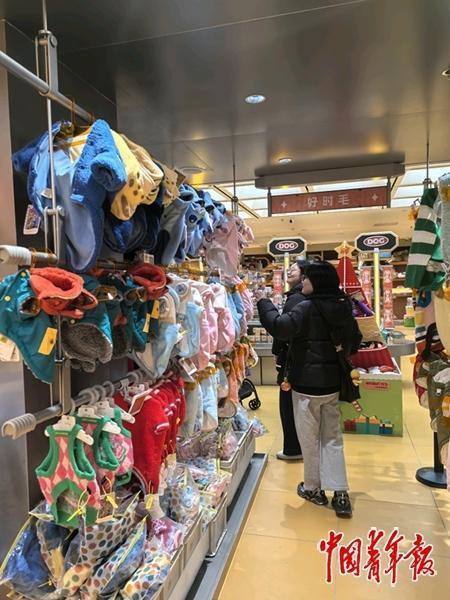 “智能”养宠背后的伪科技与真痛点(图1)