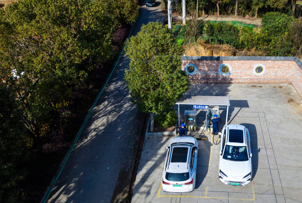 “鱼米之乡”万象新(图9)