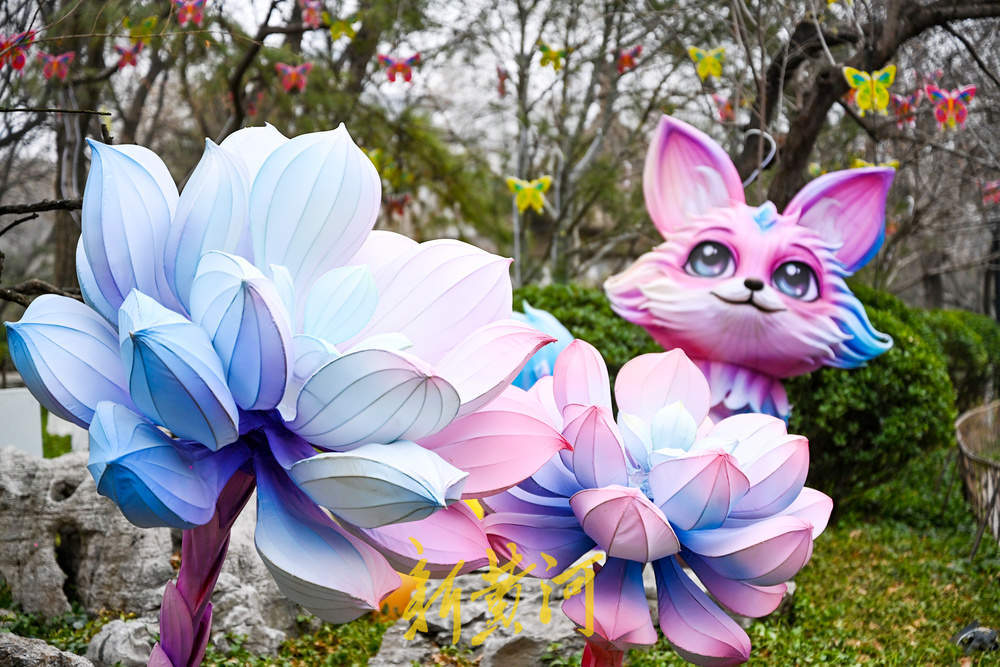 Ȫ�ϻ�����ӭ���������������������ʷ����